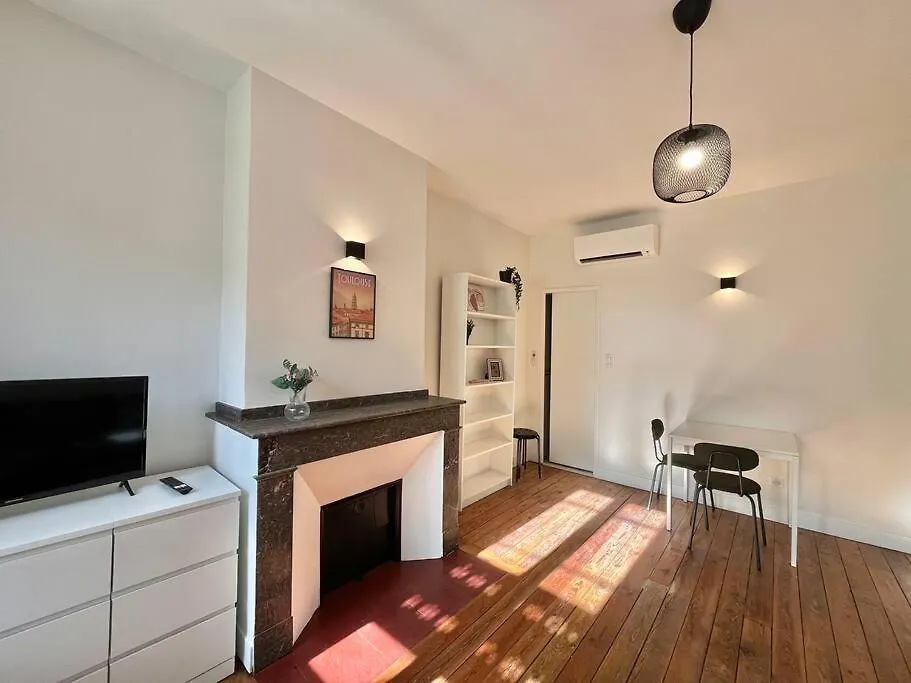 Appartement Beau Studio Rue Du Printemps Toulouse